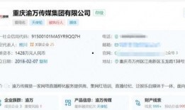 小团团配音爆料大全最新,揭秘幕后趣事与精彩瞬间