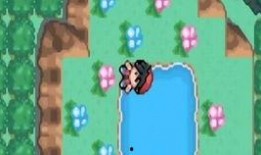 最新叶卡爆料新闻,揭秘娱乐圈惊人内幕