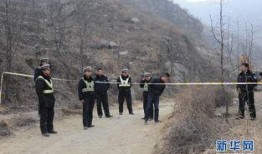 河北唐县爆料事件视频最新,真相与争议交织的舆论漩涡